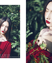 ɹ�����þ��¡���������Ӱ������ɡ�������������Ϊ�������д��