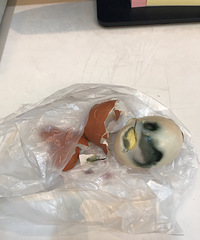 轻轨2号线B出口的早餐让我无法下咽