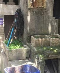 吓!九龙坡一居民楼发现腐烂女尸