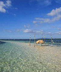 重庆公安局出入境提醒:暂勿前往菲律宾薄荷岛