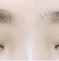 ʷȫü̳̣üζҵôüë