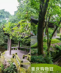 2017һܱ߳Ƽһܱ߳κȥ