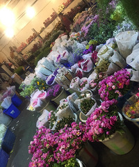 �򻨲���ֻȥ��Ϫ�����ϰ�һ���������ģ����˺ܶ໨��140