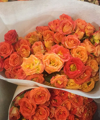 �򻨲���ֻȥ��Ϫ�����ϰ�һ���������ģ����˺ܶ໨��140