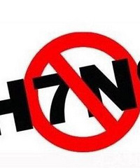 江北区确诊一人感染H7N9