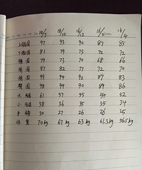 从哺乳期到断奶的减肥成功史,9个月30斤,向比基尼迈进!