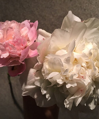 �������ҩ��ȷʵ����������������һ��