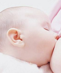 ����1��� ĸ��ι����ΰ���