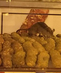 解放碑天天排队的奶脆棒-有惊喜