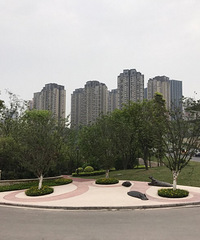 Լ�˿���������������