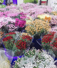 ����һ���ȴ�Ϫ�����л��õ��򻨺�ȥ�����۸���˶��ҽ�ͨ����