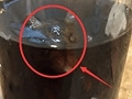 可乐喝一半惊现死耗子