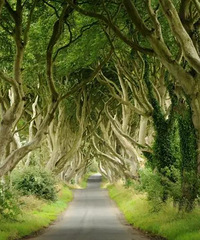 �Ƹ���Ű���������嵺��Ů�Ƕ�������С�����µ��嵥���պ�