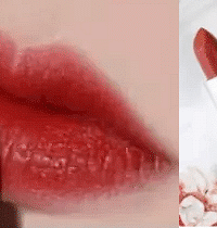 һֲݣЩںﳤʢ˥Ʒɫ