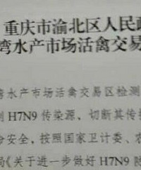 渝北一水产市场检测到H7N9