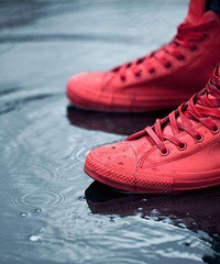 �������ˣ����������������춼����ʲôЬ��