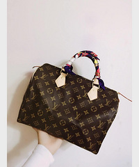 ��������LV����nano������speedy���ĸ���ֵ����