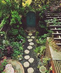 �ҵĻ�԰�ɳ�����........������籭����̨������