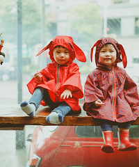 雨天里的两只小兔子