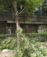 ɥżʽװ֮԰600ƽ԰Լ