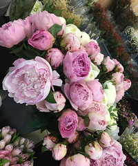 ������ȥ�˻�չ���У���ֱ���ˣ����۸���ס�ˣ�