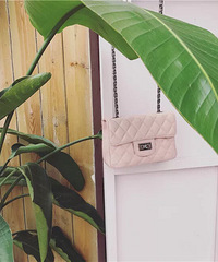 �Ա��������ܿ�ʼ�ˣ���ɹɹ�����²���ղصĶ�����