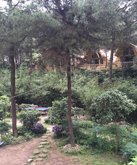 ������ɽƺ��Ծ����