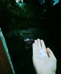 昨晚居然下了冰雹!!重庆这个假夏天我是服气的……