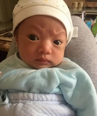 生下来一个行走的表情包