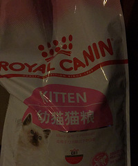 猫粮皇家k36幼猫怀孕猫猫粮