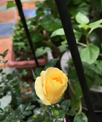 200ƽ��԰�����ǣ��ʻ����߲ˡ�ˮ��һӦ��ȫ