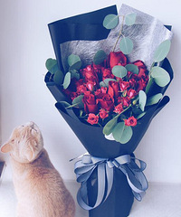 ����ѻ��ļ����������տ��õڶ��ڱ�������