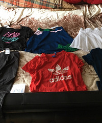 ������Ҷ�ݰ����ļ�5�ۣ�����6��620��