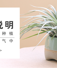 ��˵�в���ˮ�������⿿�������ܻ�ķ�����ֲ����������û��