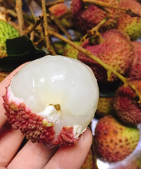 ֦úóԣʣˮֺζҲá