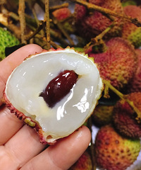 �����֦�úóԣ������ʣ�ˮ�ֺ���ζ��Ҳ�á�