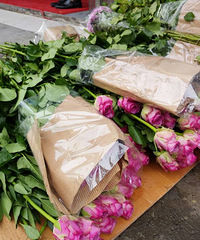 [ֱ��]��������տ��õڶ��ڿ�ʼ�������������ֿɰ�������