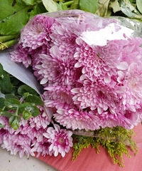 [ֱ��]��������տ��õڶ��ڿ�ʼ�������������ֿɰ�������