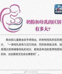 ������������ĸ�飬���������ŵ���ƪ����������