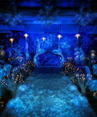 ɫ󺣵Ĵ˵ʰ20172ռǡ