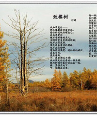 愿每个单身的人儿都能找到意中人