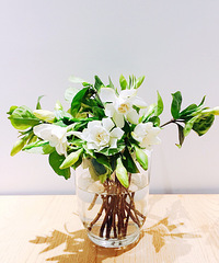 �����Ǯ�������ɰ����������������ӻ��ļ���������