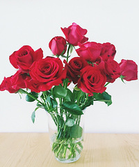 �����Ǯ�������ɰ����������������ӻ��ļ���������