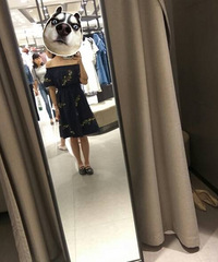 ���ֱ��һ�����ĸ��ÿ��㣿