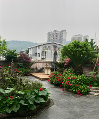 爸妈的楼顶花园,三分菜圃三分地,又种菜来又种花