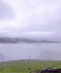 无缘花海,还遇雨雾天气,记录悲催的九顶山之旅
