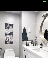 װ�޳�񫻼�ߵ�С����ԭľ�硾��������յ���װ���ռǡ�