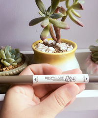 Ƽһ֧Լ۱ȳߵüʣܺɫױӴ