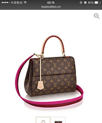 LV��GUCCI֮��ֻ����һ��������£���ѡ�ĸ���