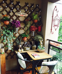 ����̨Ҳ��ò��һ������������ ������